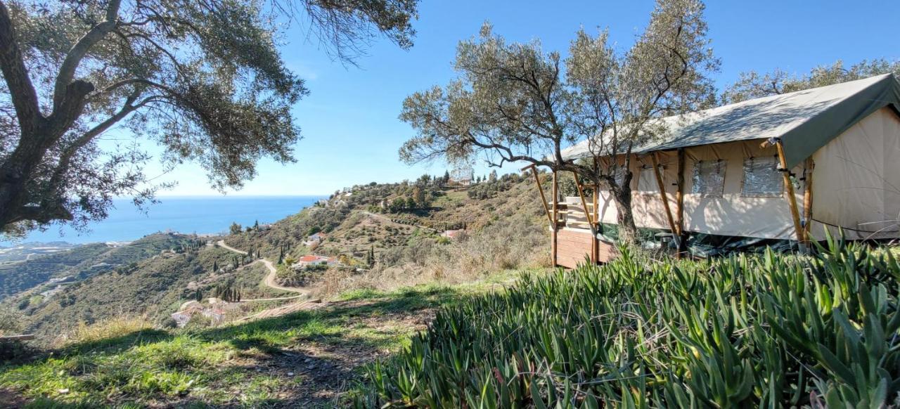 Campo Agave Luxury Tents Sayalonga Exterior foto